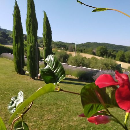 Suite Assisi Exterior foto