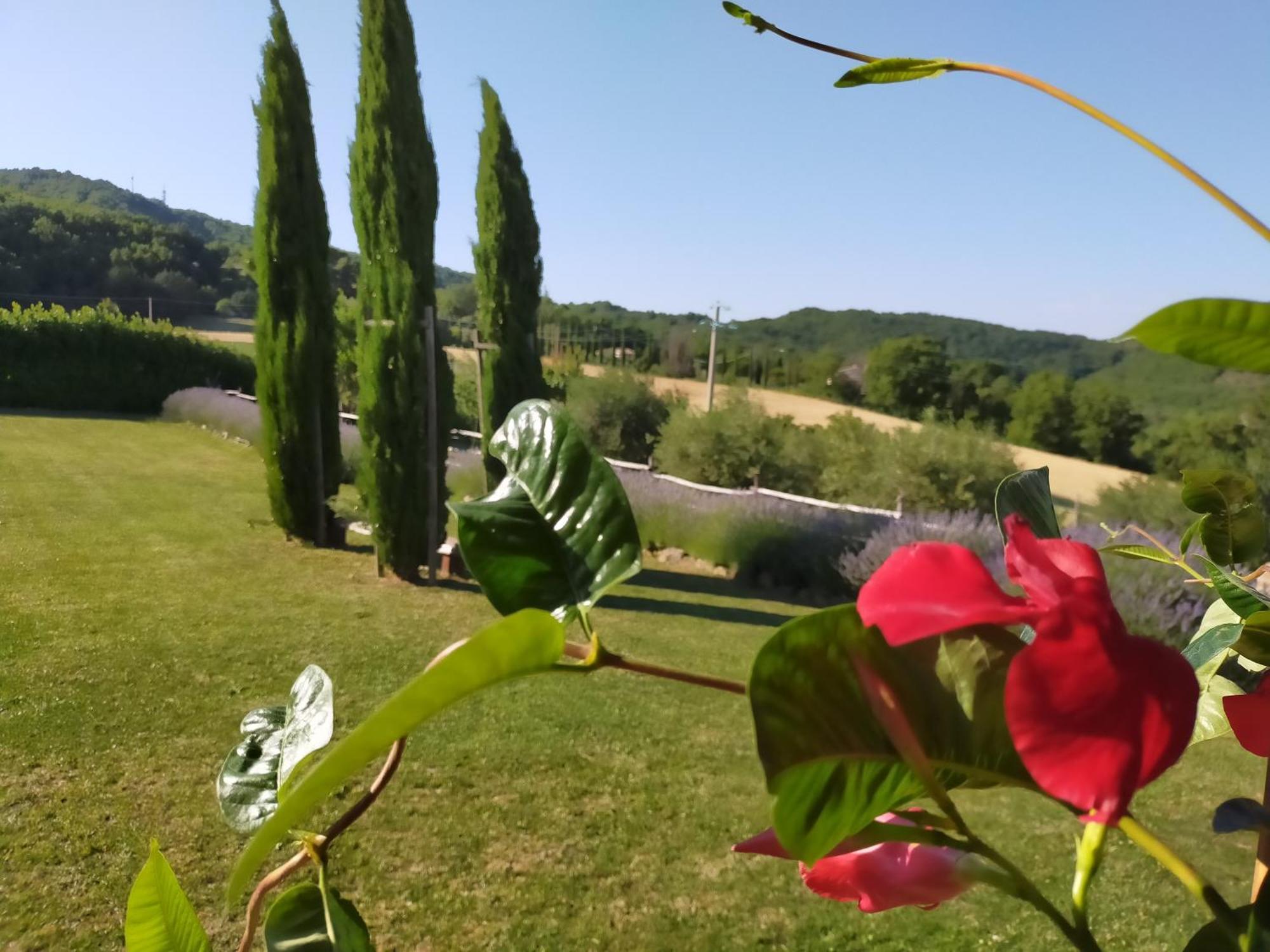 Suite Assisi Exterior foto